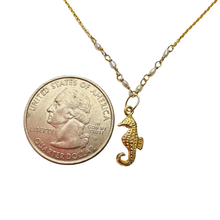 Load image into Gallery viewer, Sea Horse NK