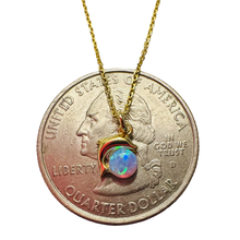 Load image into Gallery viewer, Dolphin NK