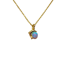 Load image into Gallery viewer, Dolphin NK