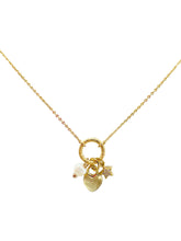 Load image into Gallery viewer, Multi Charm Heart NK