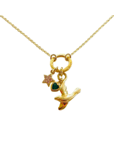 Load image into Gallery viewer, Multi Charm Dove NK