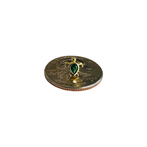 Turtle Studs