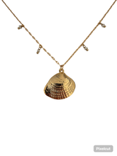 Load image into Gallery viewer, Shell Pearl NK