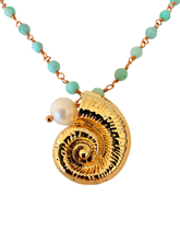 Load image into Gallery viewer, Shell Amazonite NK