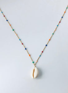 Rainbow cowrie NK20300