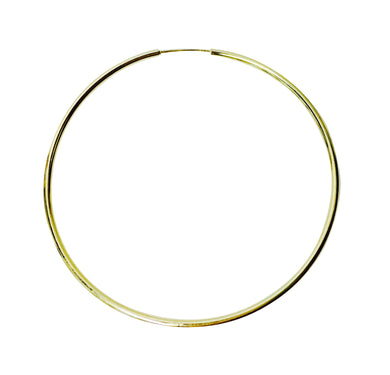 Large Goldfilled hoop EA20087
