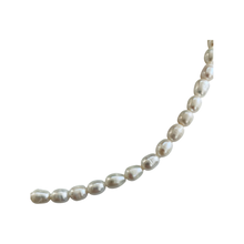 Load image into Gallery viewer, Freshwater Pearl Necklace NK22046