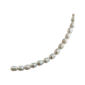 Freshwater Pearl Necklace NK22046