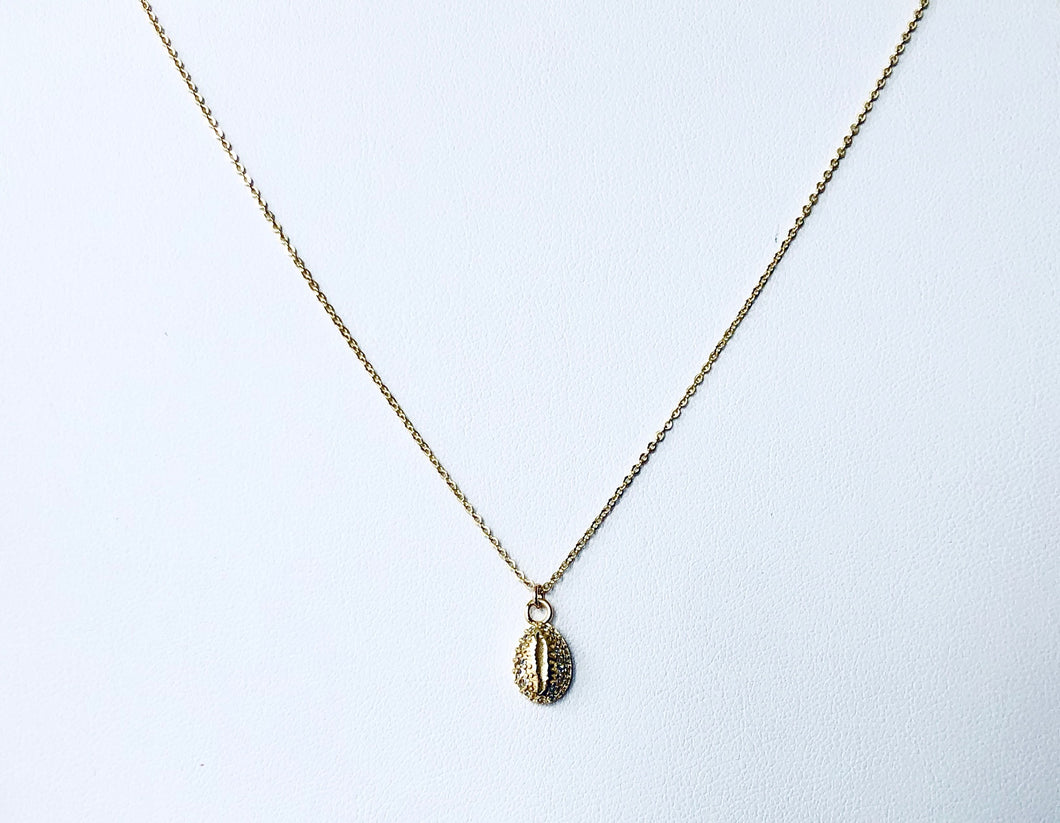 Cz Cowrie NK20495